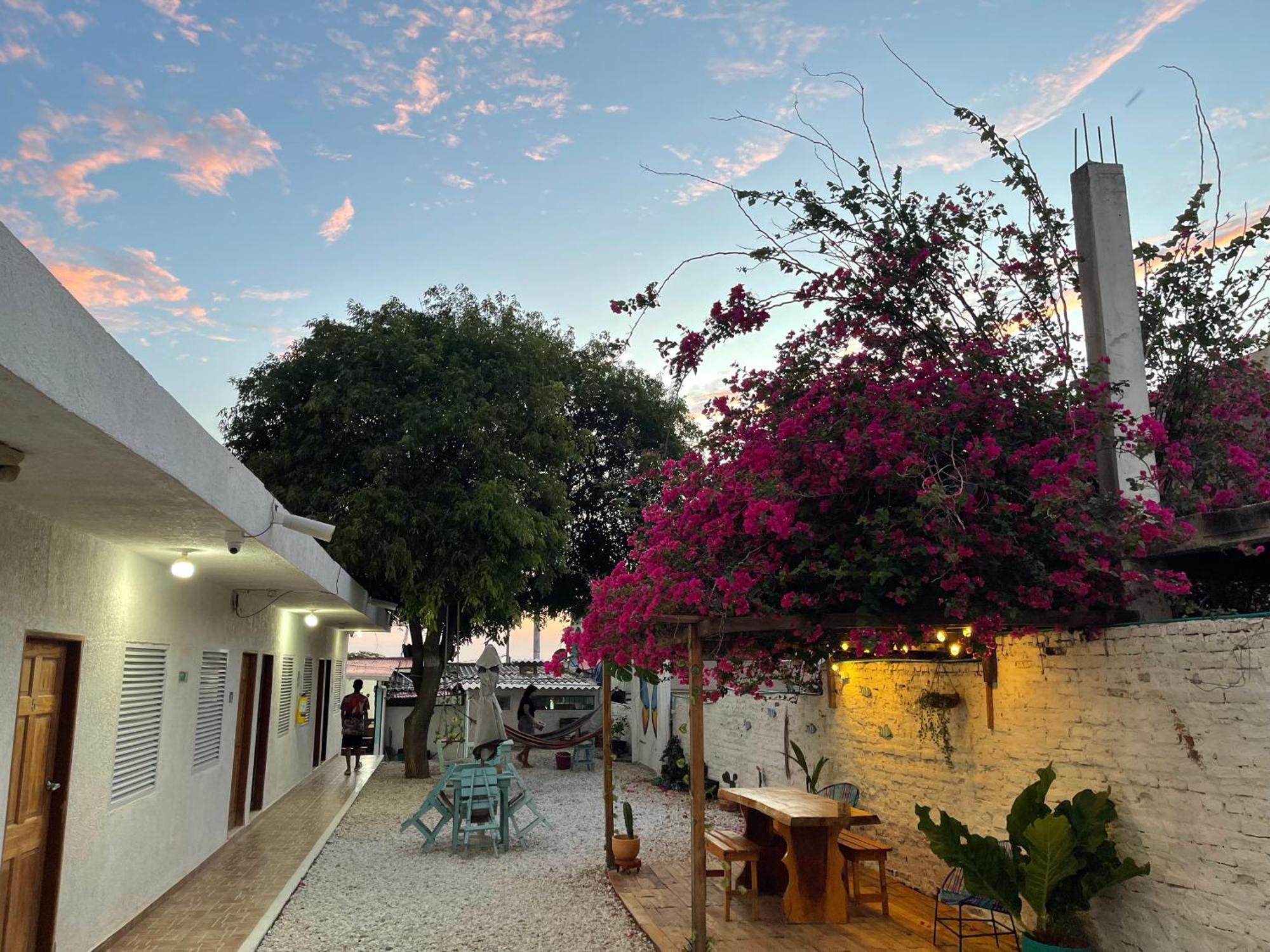 White Taganga Hotel Luaran gambar